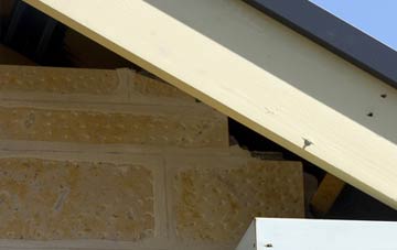 soffit repair White Pit
