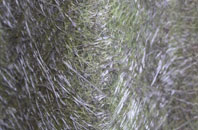 White Pit fibreglass roof work